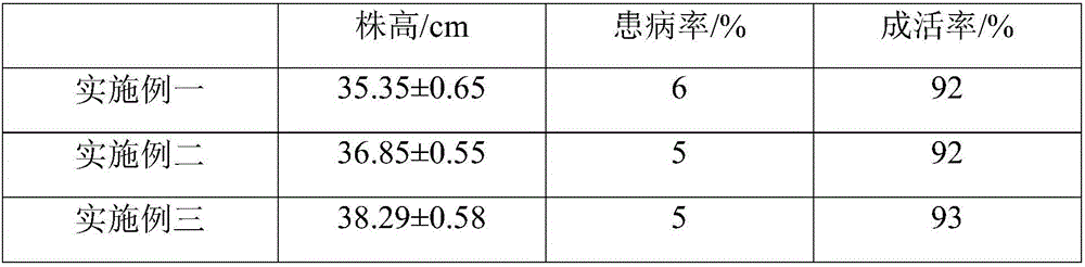 Special fertilizer having sterilization and deinsectization efficacy and used for garden flowers as well as preparation method and application of fertilizer