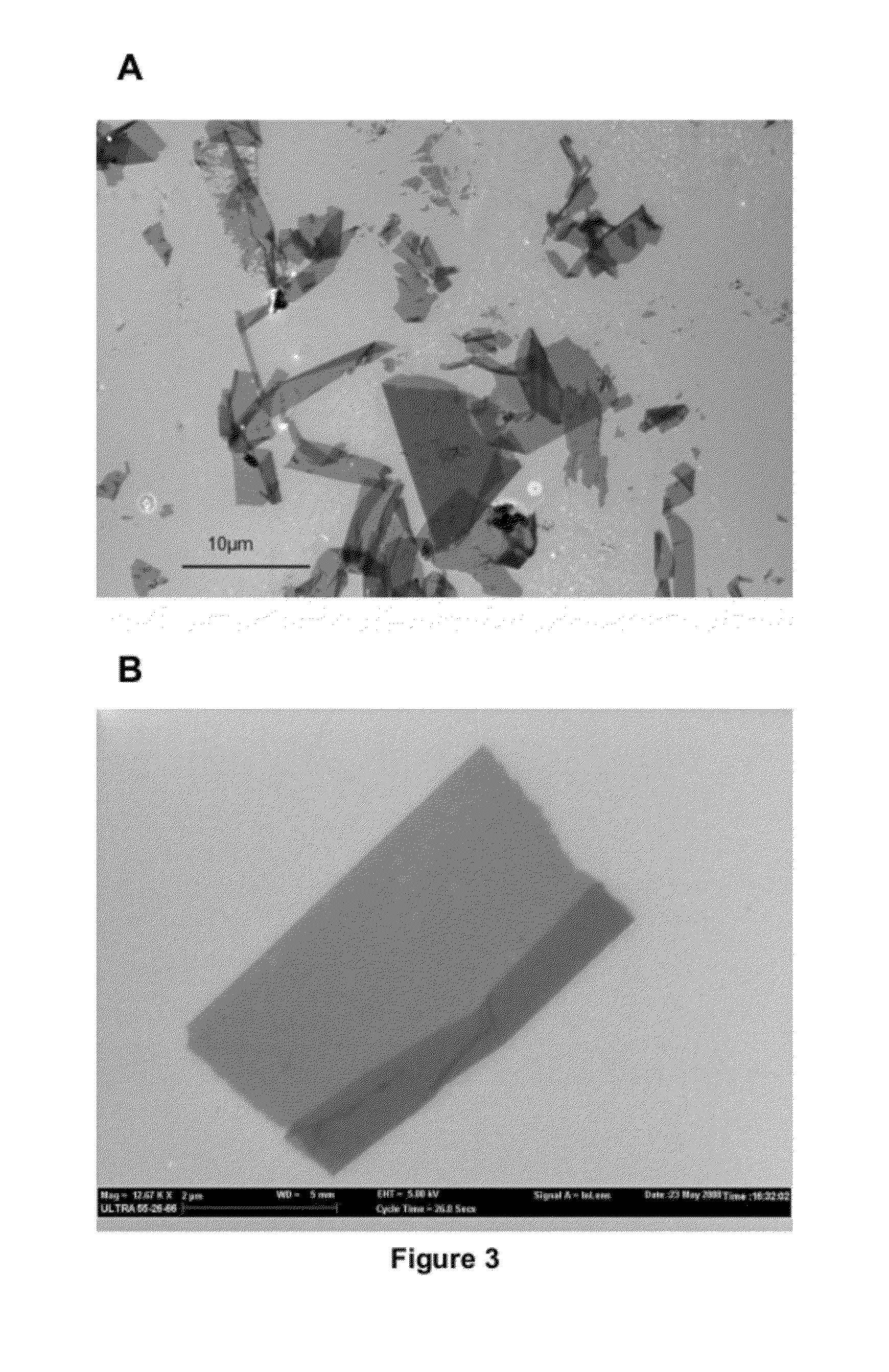 Novel biomimetic peptoid polymers