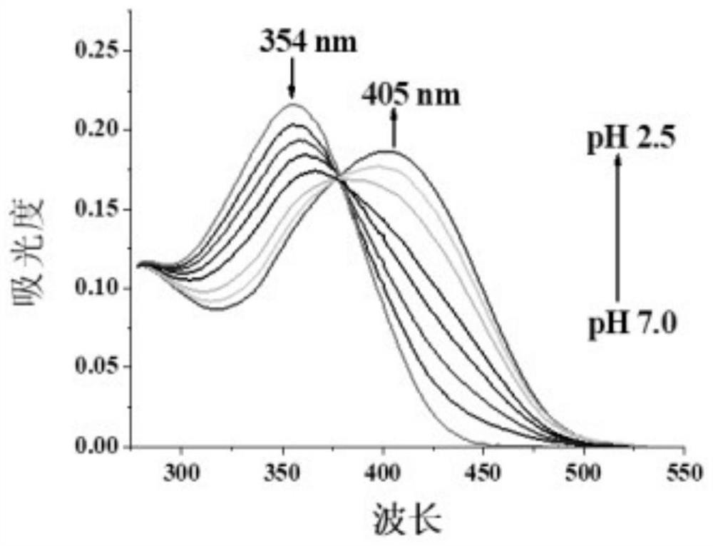 Multifunctional lysosome pH probe based on benzimidazole and preparation method and application thereof