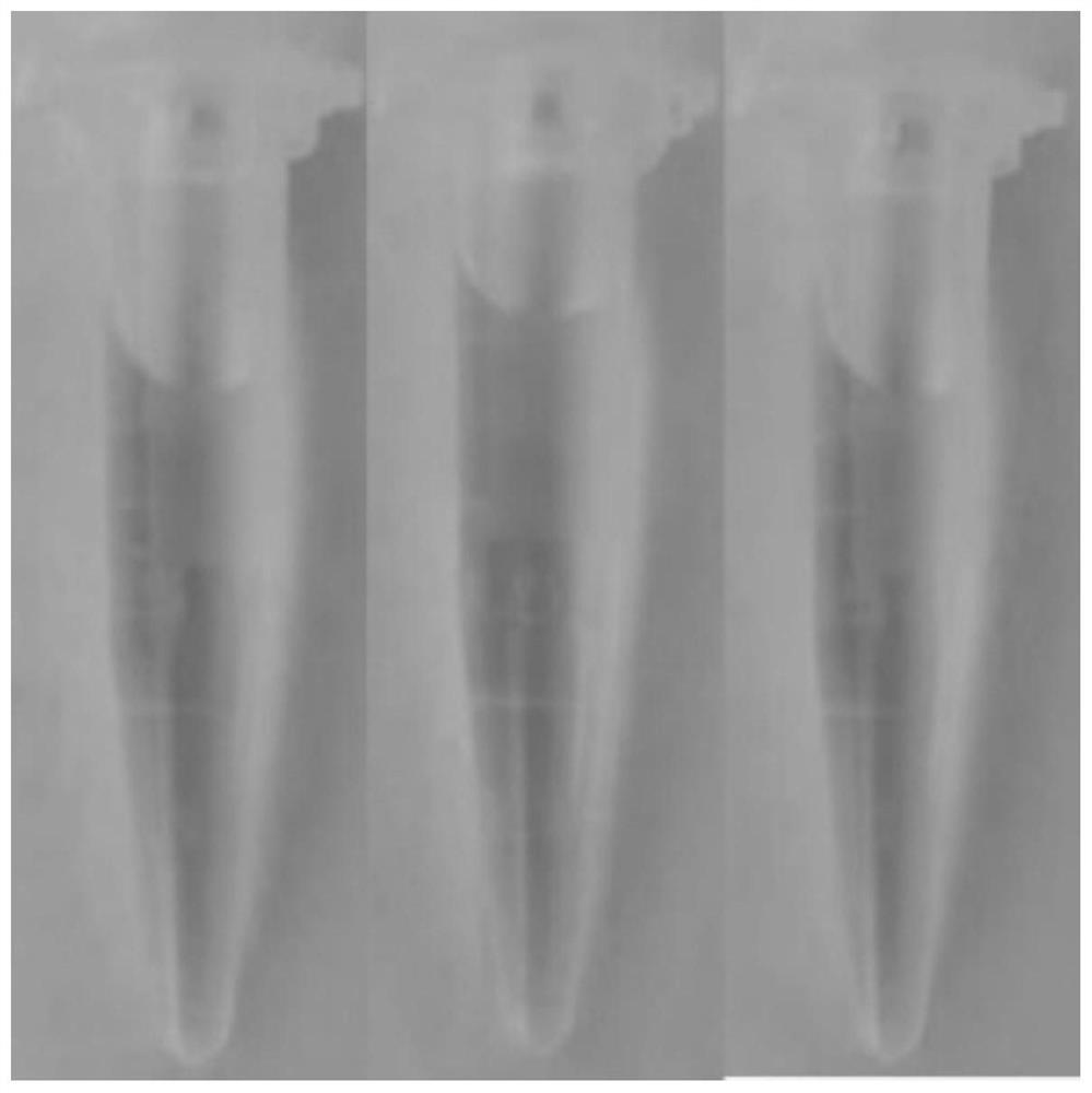 Multifunctional lysosome pH probe based on benzimidazole and preparation method and application thereof