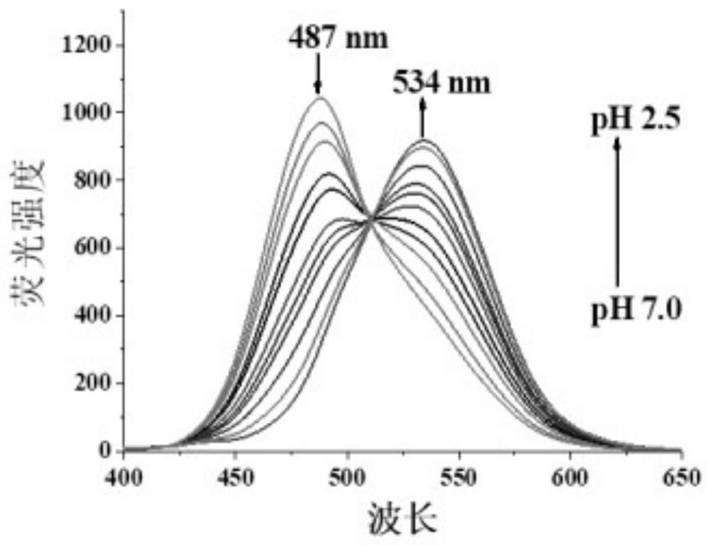 Multifunctional lysosome pH probe based on benzimidazole and preparation method and application thereof