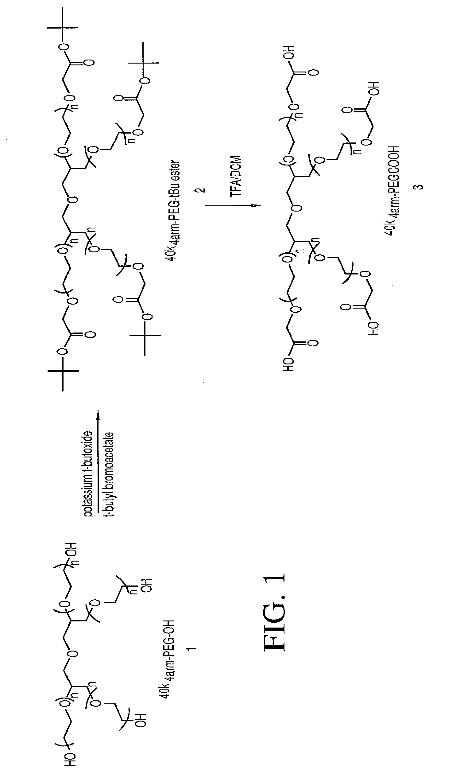 Multi-arm polymeric conjugates of 7-ethyl-10-hydroxycamptothecin for treatment of breast, colorectal, pancreatic, ovarian and lung cancers