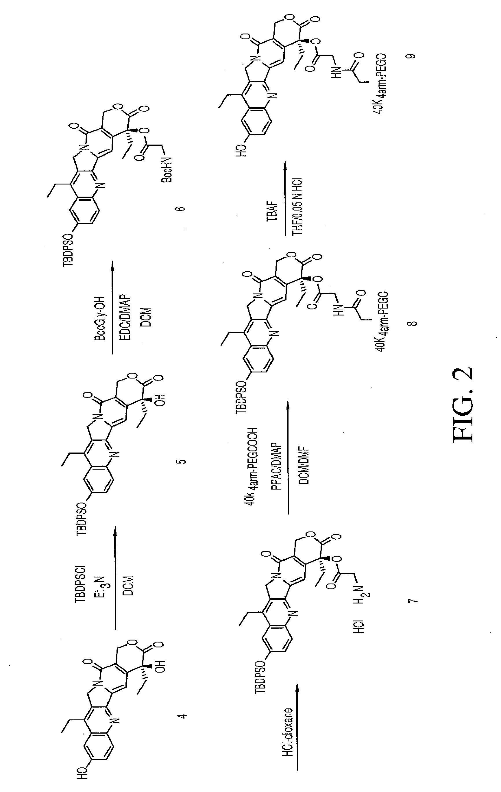 Multi-arm polymeric conjugates of 7-ethyl-10-hydroxycamptothecin for treatment of breast, colorectal, pancreatic, ovarian and lung cancers