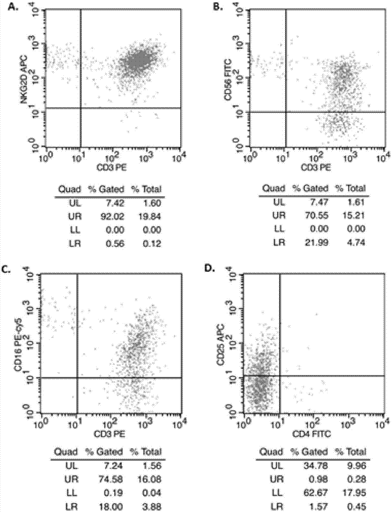 Natural killer T cell culture medium and multiplication culture method for natural killer T cells