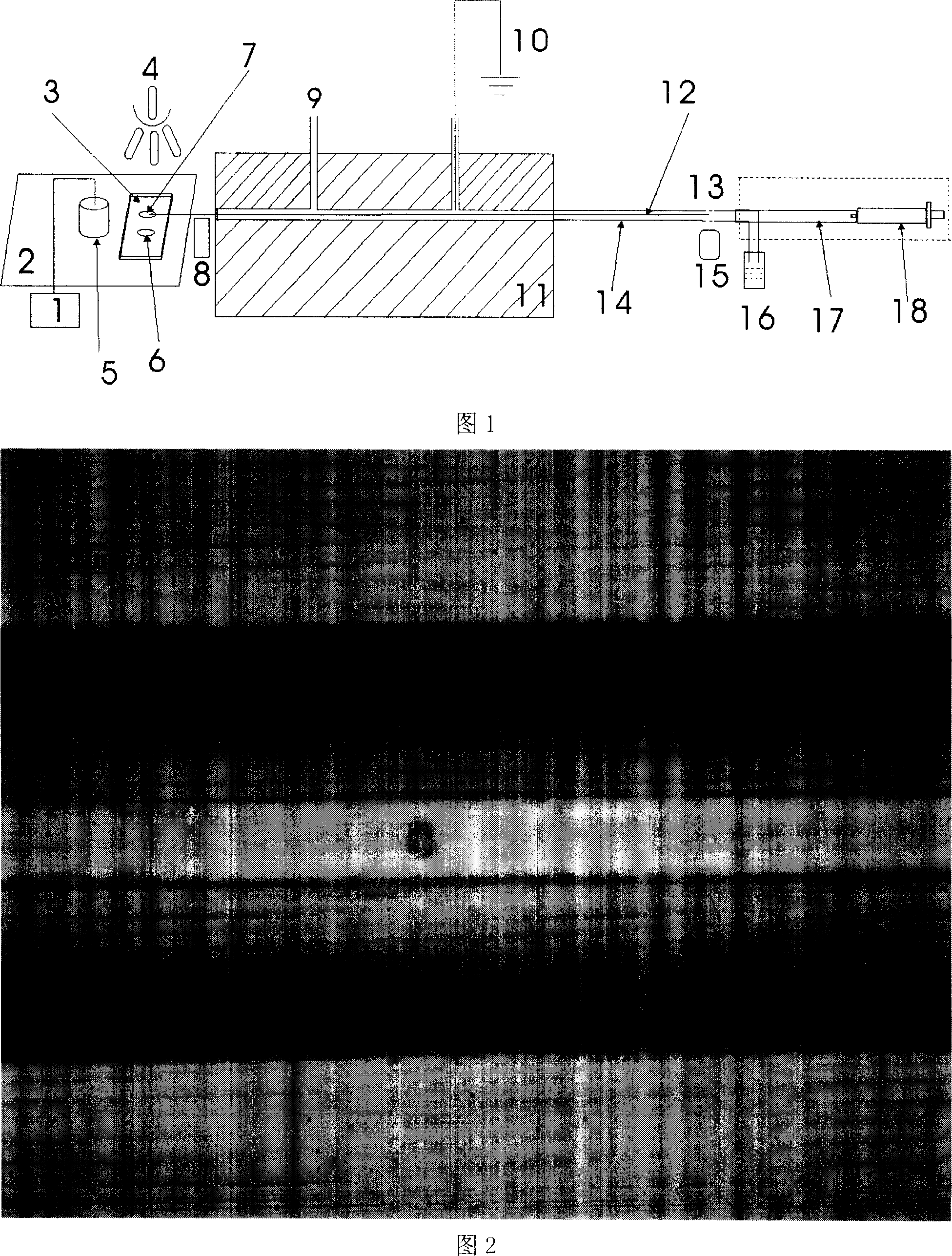 Capillary tube electrophoresis chemical luminous detector for monocell analysis