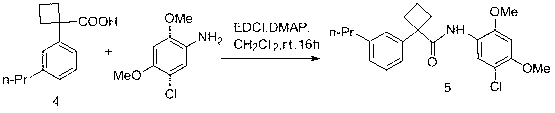 2,4-dihydroxy-5,6-substituted-1-halogenobenzene derivative, synthesis method and application thereof