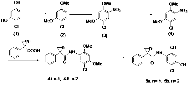 2,4-dihydroxy-5,6-substituted-1-halogenobenzene derivative, synthesis method and application thereof