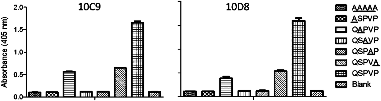 Monoclonal antibody capable of specifically identifying HPV18 L1 protein and application of monoclonal antibody