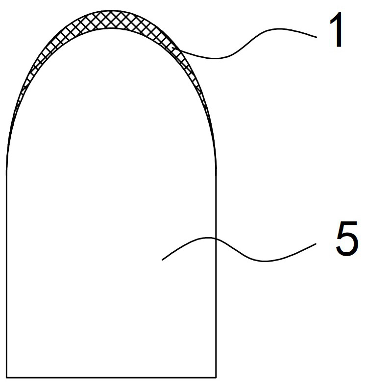 A kind of multi-tooth-head cemented carbide composite column tooth and its preparation method