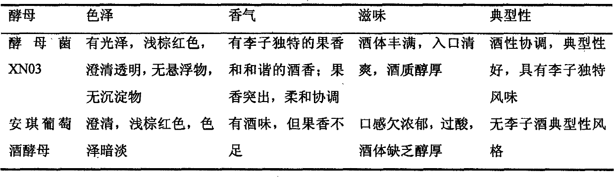 Saccharomyces cerevisiae and application thereof in brewing of plum wine