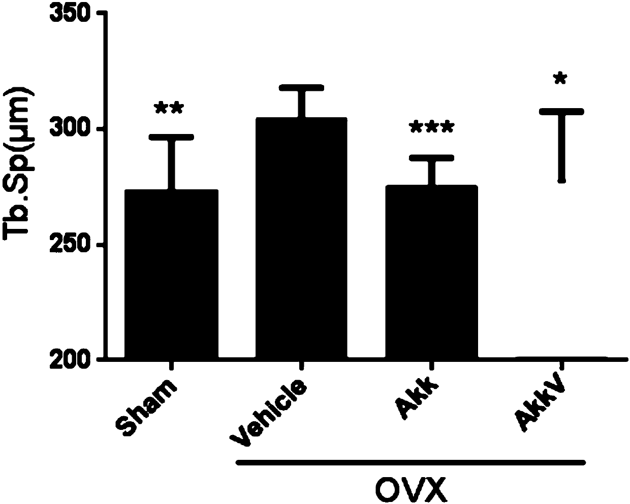 Application of probiotics and their outer membrane vesicles in the preparation of drugs for the prevention and treatment of osteoporosis