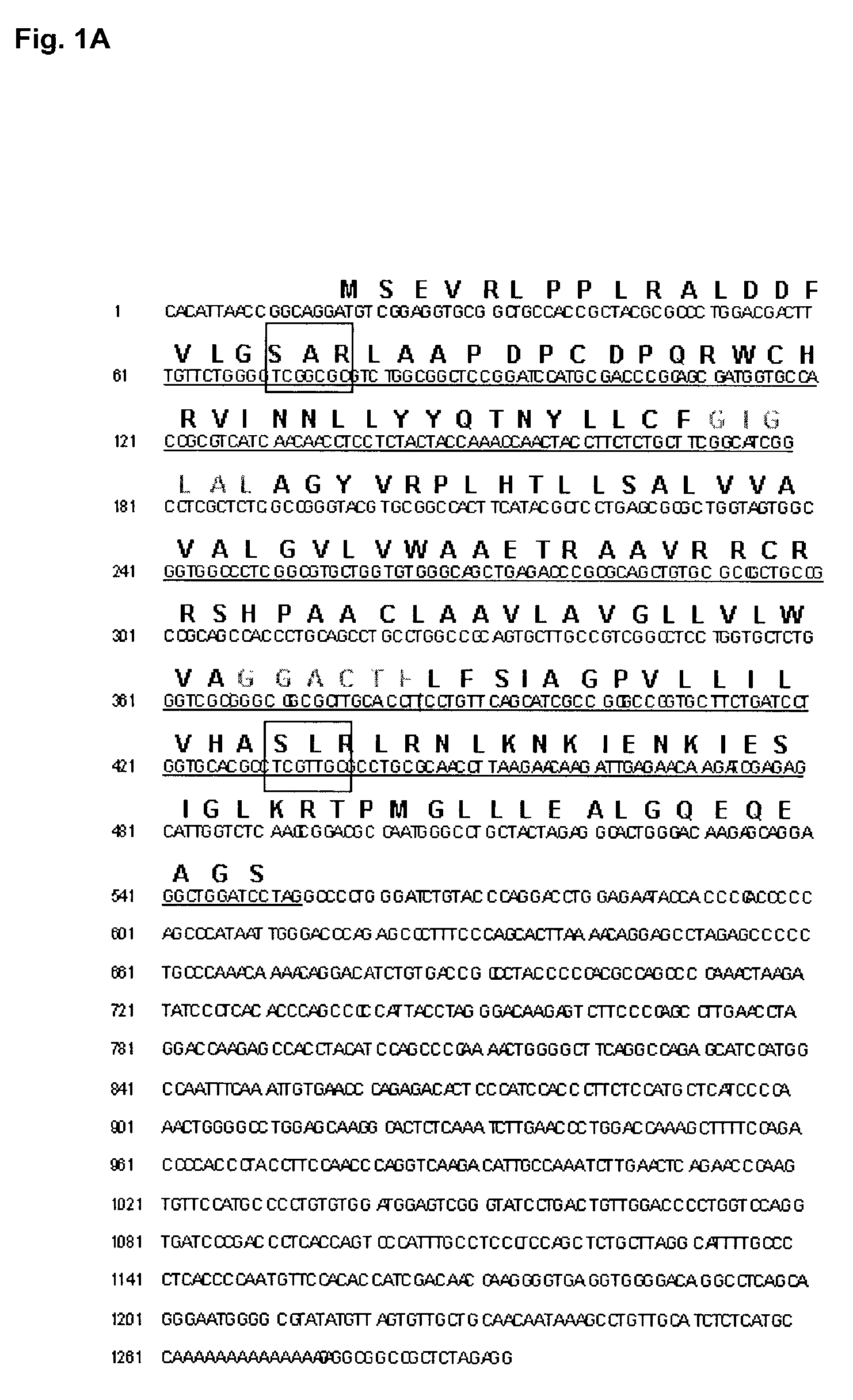 Compositions and methods for treatment and detection of multiple cancers