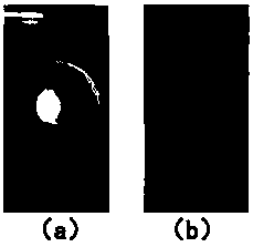 Cathode protection test probe, cathode protection test device and method for evaluating cathode protection effect of metal in seawater