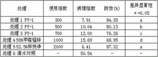 Biocontrol strain and agent capable of preventing and controlling plasmopara viticola and phytophthora capsici and application of biocontrol strain and agent