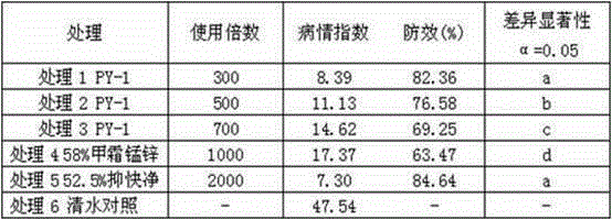 Biocontrol strain and agent capable of preventing and controlling plasmopara viticola and phytophthora capsici and application of biocontrol strain and agent