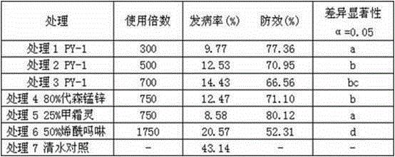 Biocontrol strain and agent capable of preventing and controlling plasmopara viticola and phytophthora capsici and application of biocontrol strain and agent