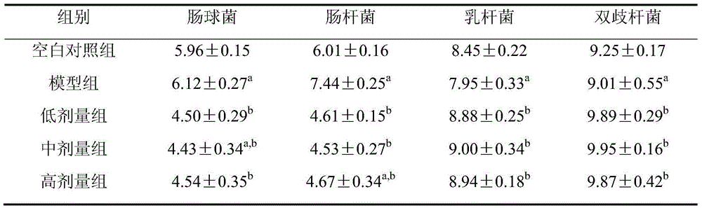 Solid-phase microecology preparation used for treating alcoholic liver injuries, and preparation method thereof