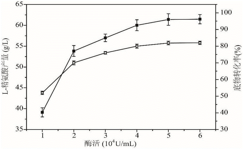 Arginine decarboxylase and application thereof