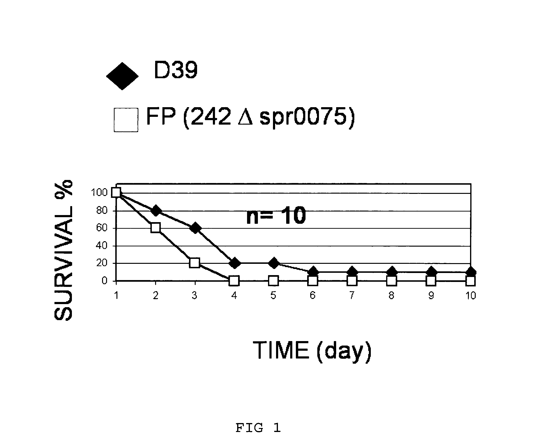 Antigenic protein fragments of Streptococcus pneumoniae