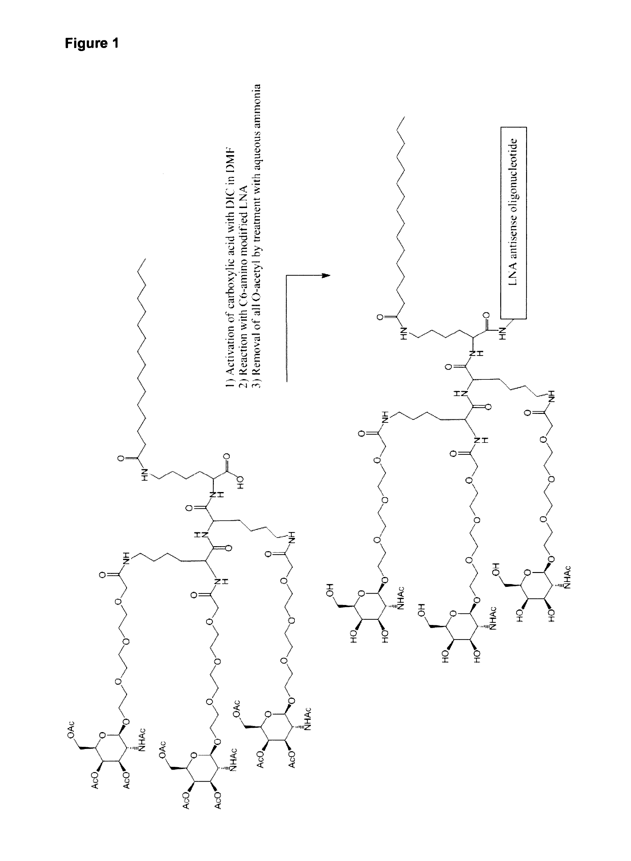 Lna oligonucleotide carbohydrate conjugates