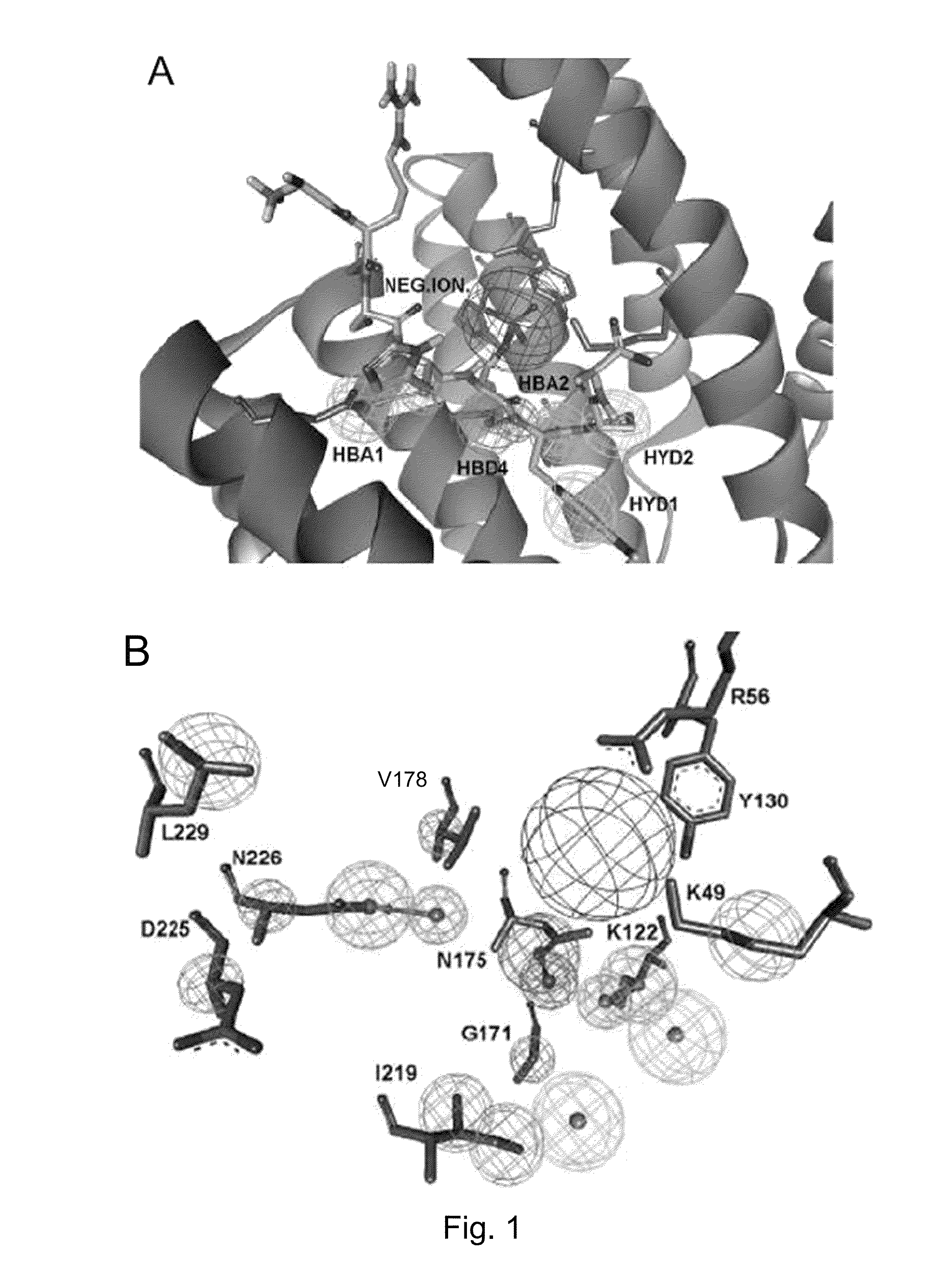 Non peptidic 14-3-3 inhibitors and the use thereof