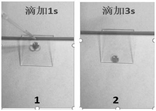 A kind of anti-oil, anti-fouling, self-cleaning fluorine-free coating and preparation method thereof