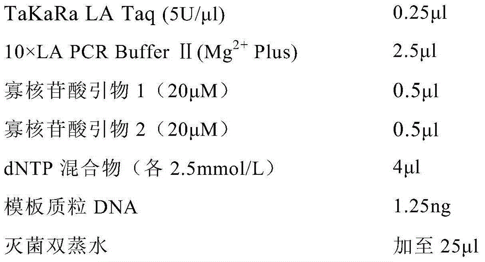 Truncated L1 proteins of human papilloma virus (HPV), virus-like particles as well as preparation method and application of virus-like particles