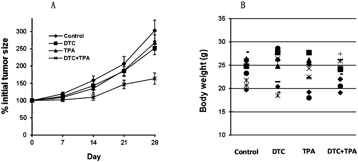 Compound anti-cancer drug