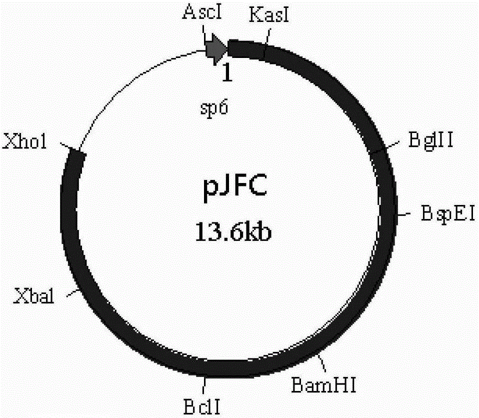 A kind of chimeric virus and its preparation method and application