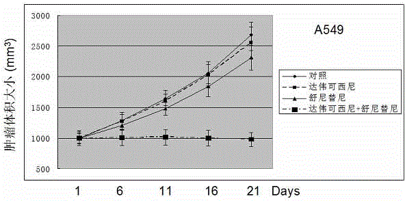 Anticancer composition based on anti-angiogenesis medicine