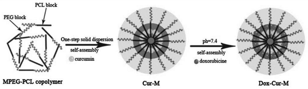 Polymer nano-micelle entrapped with two drugs and preparation method and application of polymer nano-micelle