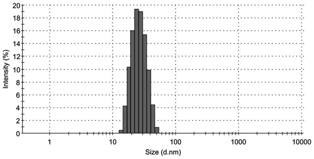 Polymer nano-micelle entrapped with two drugs and preparation method and application of polymer nano-micelle