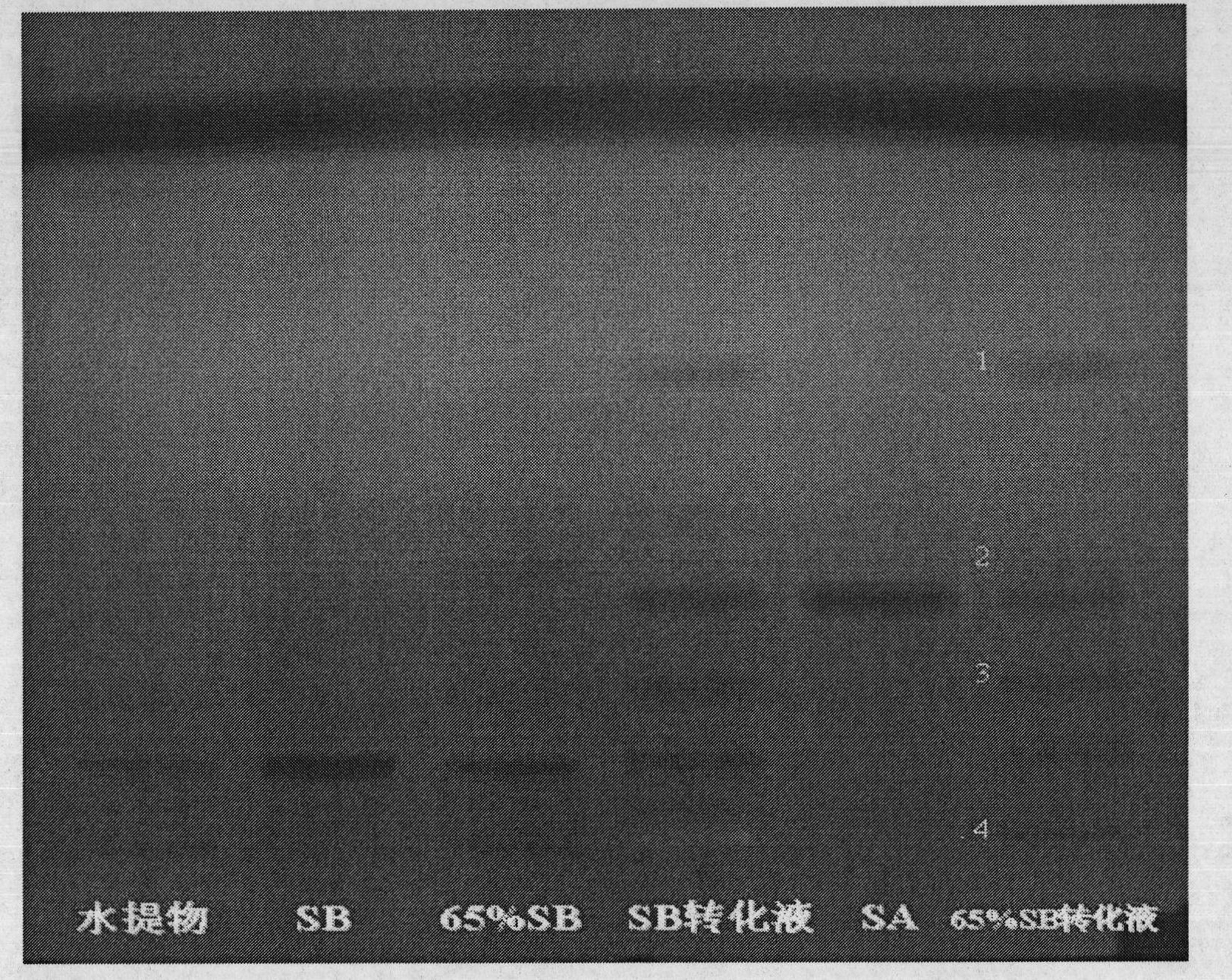 Method for purifying salvianolic acid A by adopting normal phase chromatography