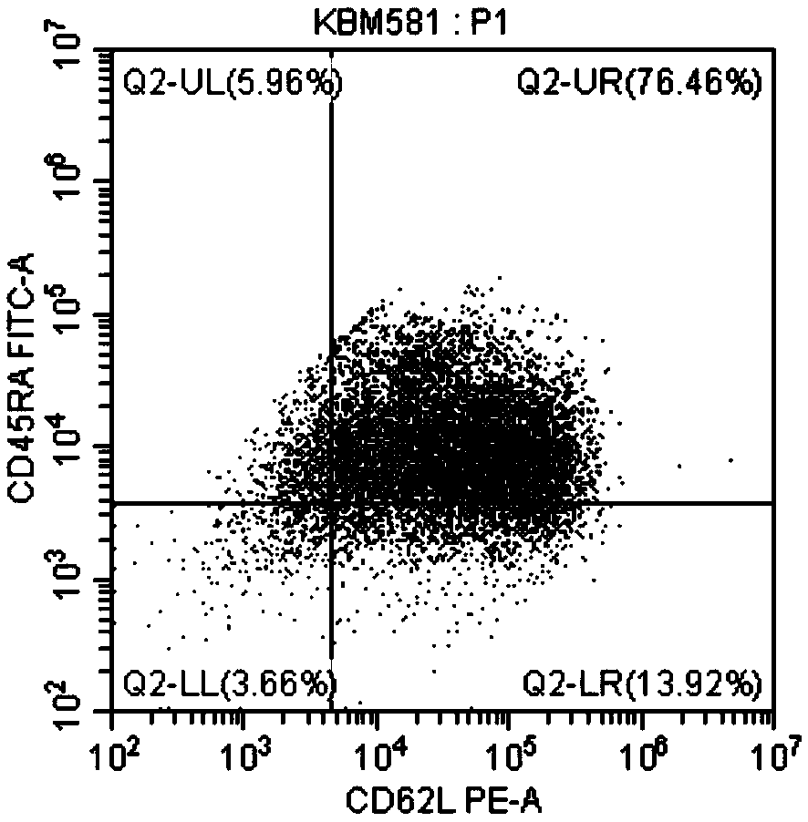 Configuration method for obtaining memorable T lymphocyte subset culture medium