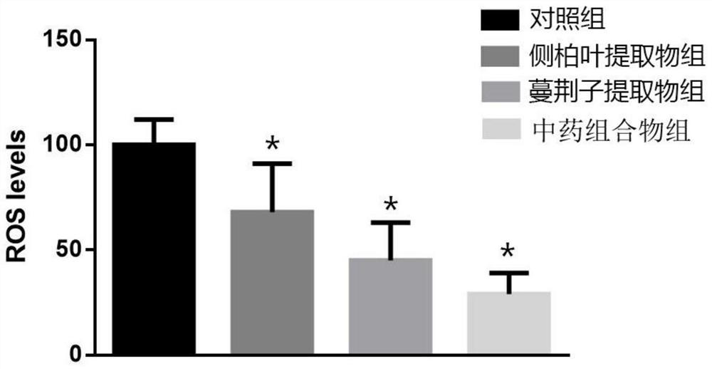 A traditional Chinese medicine composition with antibacterial, antipruritic and antioxidative effects