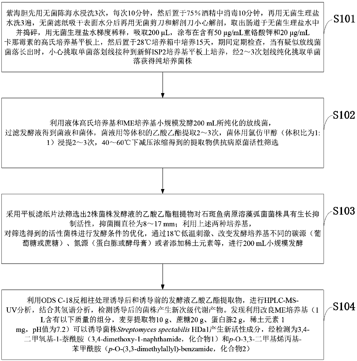 Method for inducing silent gene expression of marine actinomycetes to generate new substances