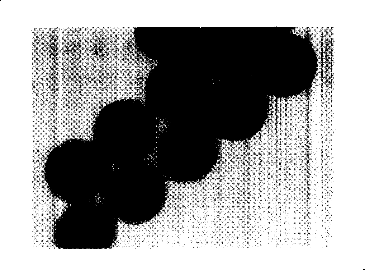 Method for preparing polymer colloid photon crystal film by using spraying method