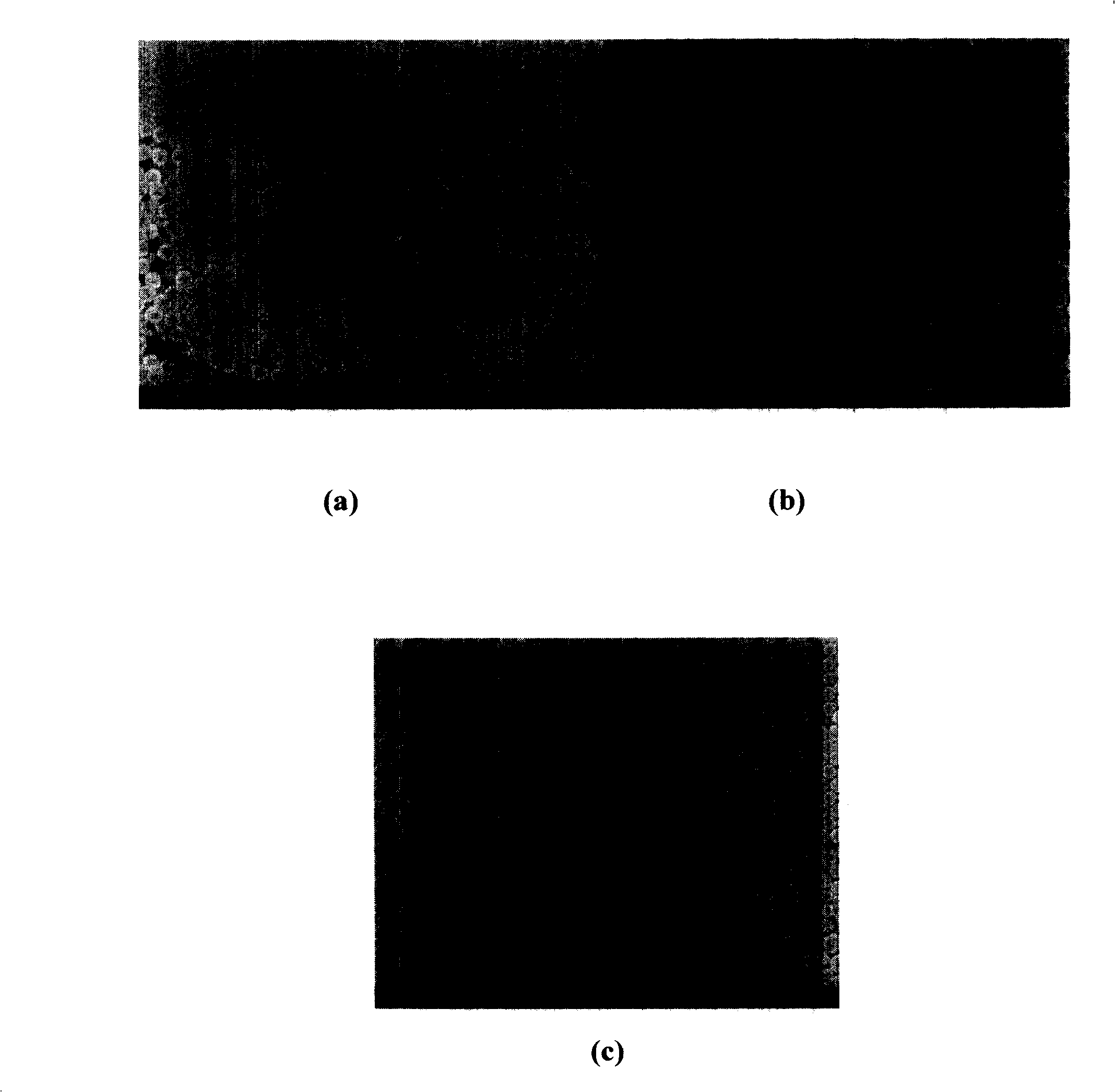 Method for preparing polymer colloid photon crystal film by using spraying method