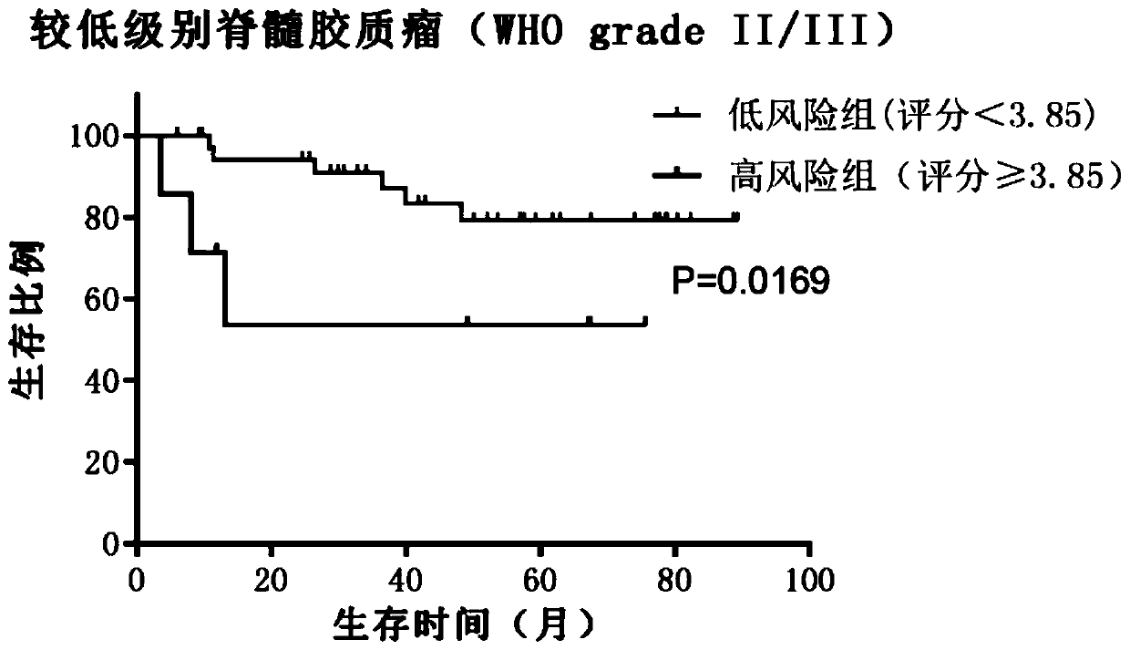 System for evaluating prognosis of patient with spinal glioma based on peripheral blood cells