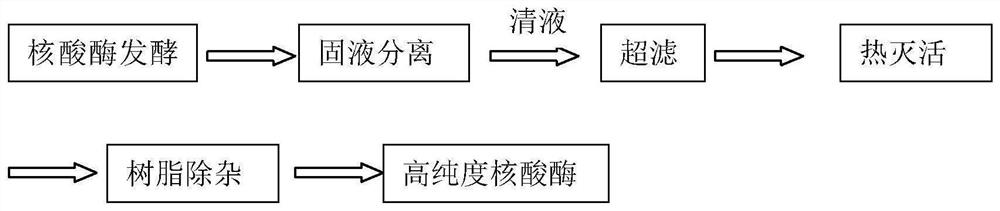 A method for multistage purification of nuclease p1