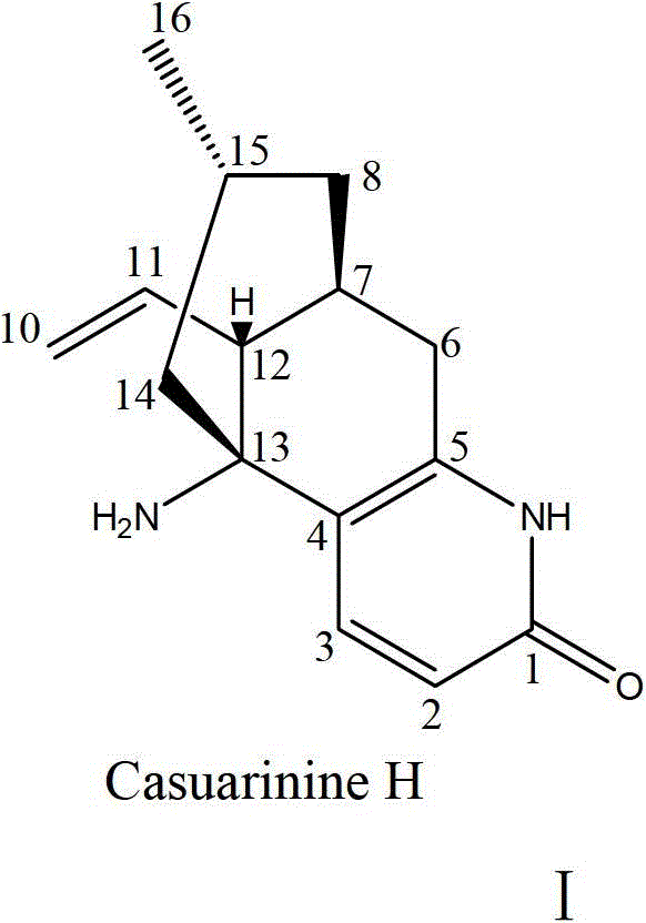 Alkaloid casuarinine H and its use in the preparation of medicines for treating neurodegenerative diseases