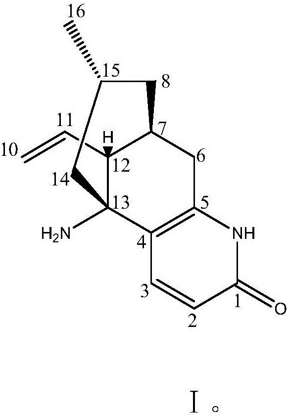 Alkaloid casuarinine H and its use in the preparation of medicines for treating neurodegenerative diseases