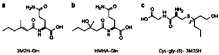 Aluminum-free composition for inhibiting bromhidrosis