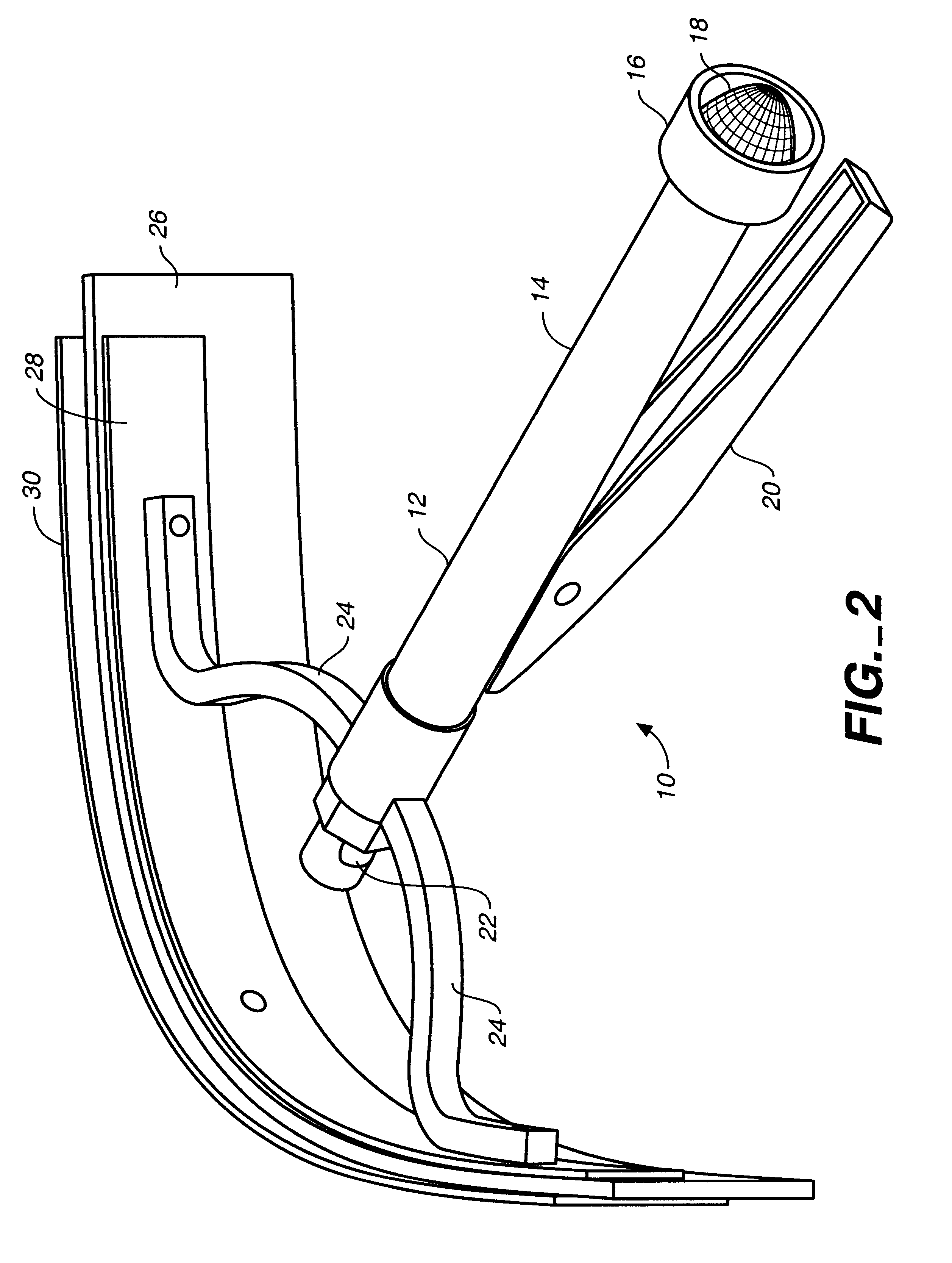 Animal grooming squeegee apparatus