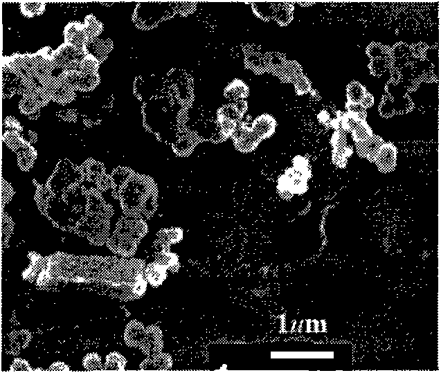 Method for preparing titanium dioxide hollow spherical powder