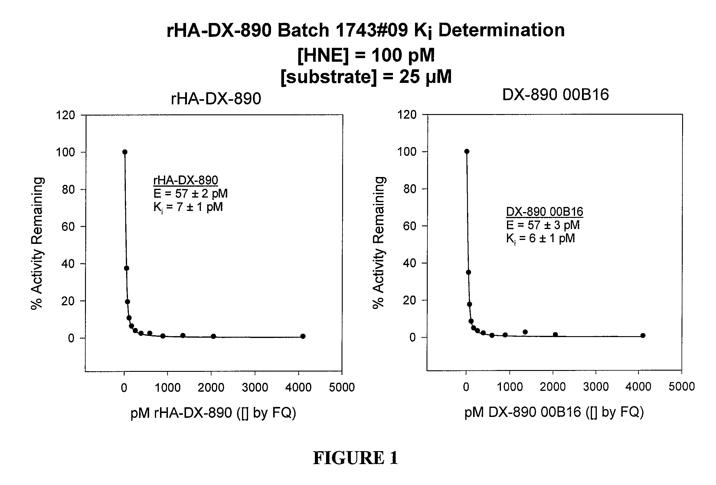 Albumin-Fused Kunitz Domain Peptides