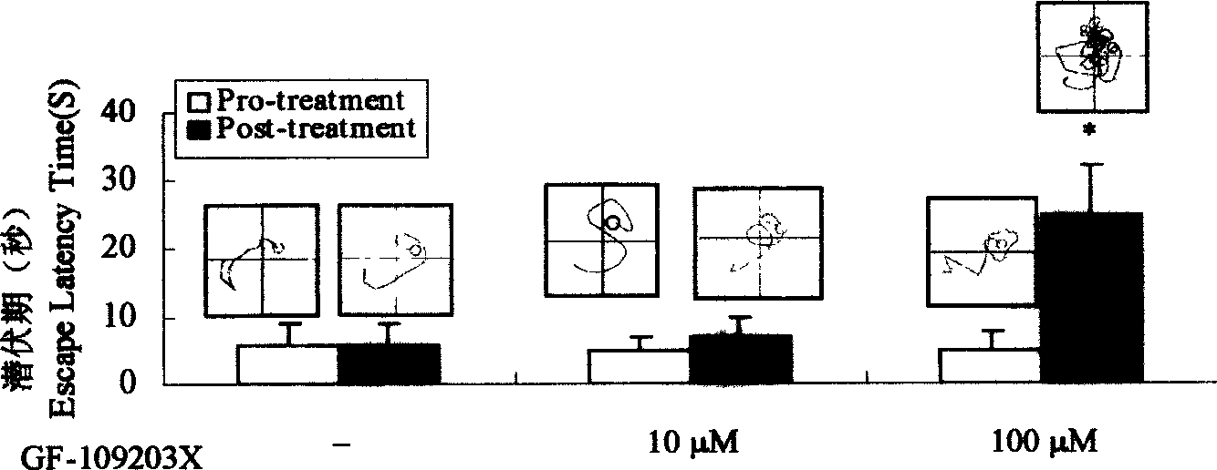 Construction process of Alzhemer's disease rat animal model