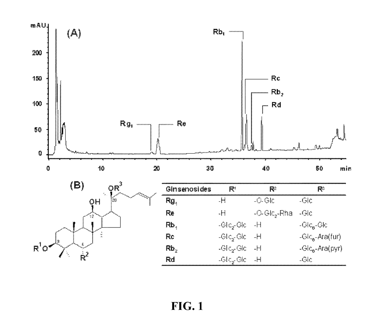 Application of American Ginseng to enhance neurocognitive function