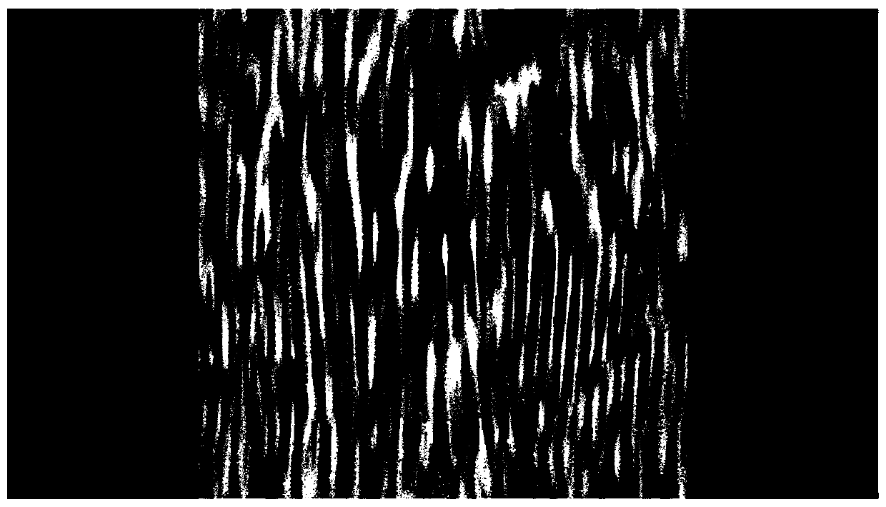 System for parallelly processing microporous texture of mechanical sealing face by femtosecond laser