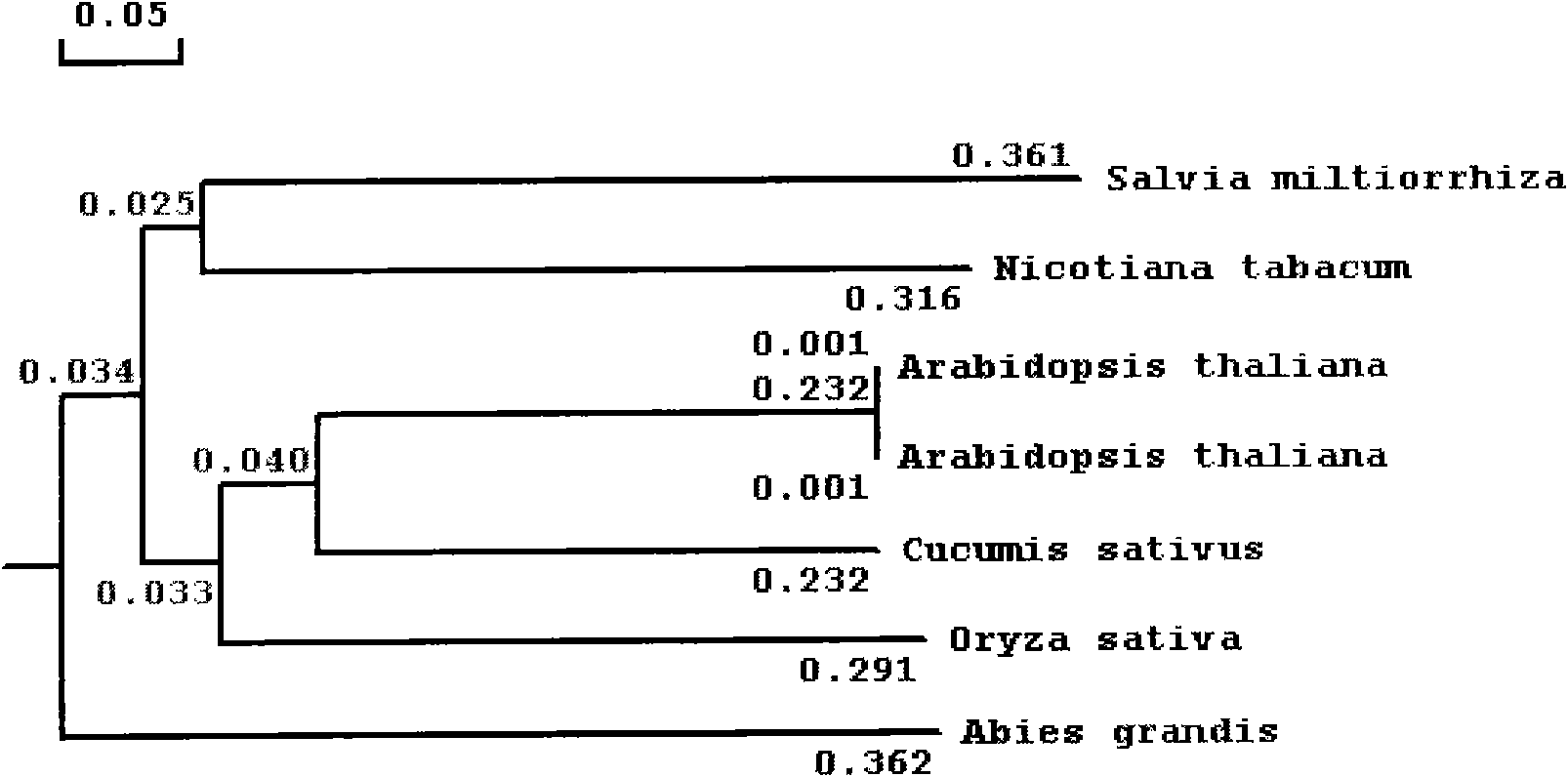 Gene for generating related diterpene synthase together with tanshinone type compound as well as encoding product and application thereof